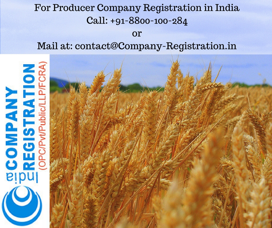 Producer Company Registration in India